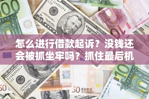 武汉怎么进行借款起诉？没钱还会被抓坐牢吗？抓住最后机会！