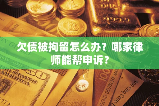武汉欠债被拘留怎么办？哪家律师能帮申诉？