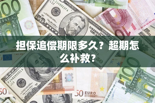 武汉担保追偿期限多久？超期怎么补救？